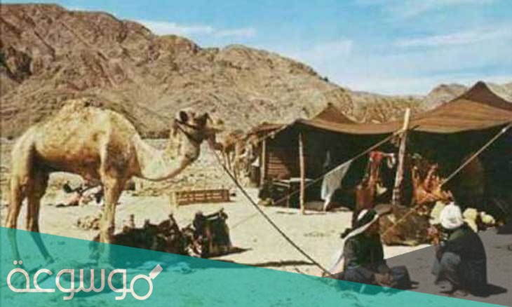 العديم وش يرجع
