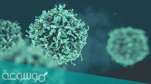 المسؤول عن نضج الخلايا التائية