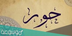 معنى اسم حور بالانجليزي مزخرف
