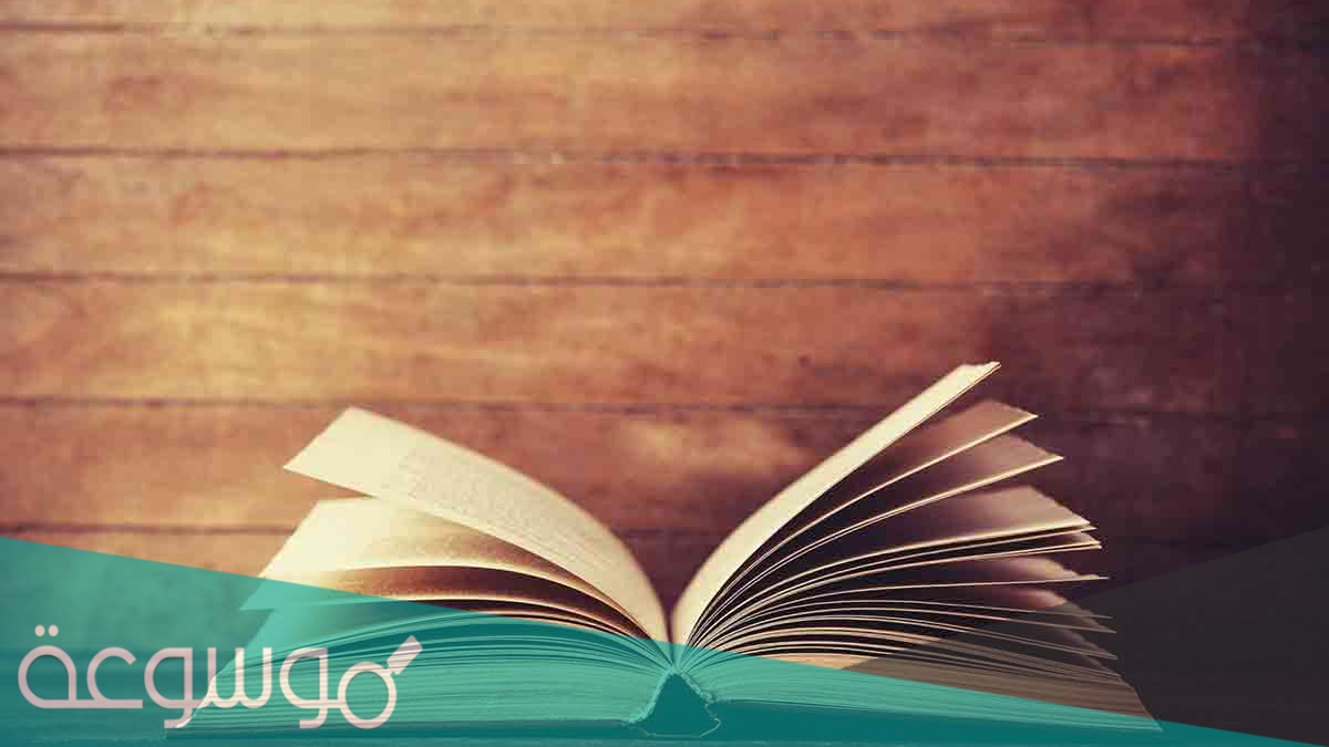 رواية اشتريتها من ميدان عام كاملة