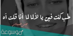 كلمات طب كنت فين يا لا جنى حميدان