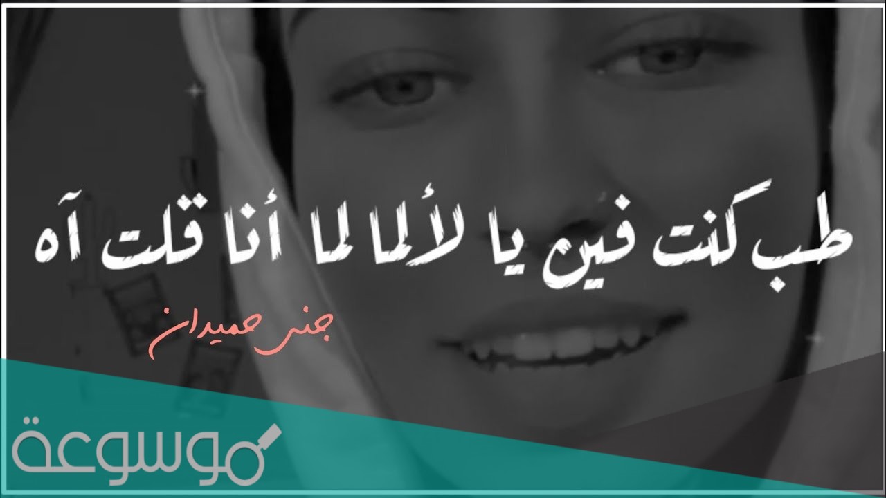 كلمات طب كنت فين يا لا