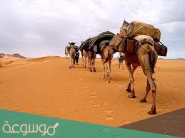 عائلة السبتي من وين