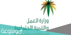شروط استقدام عامل منزلي وزارة العمل 1442