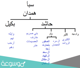 قبيلة يام