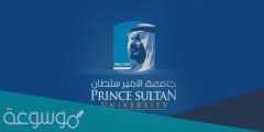 كم رسوم جامعة الامير سلطان 2022