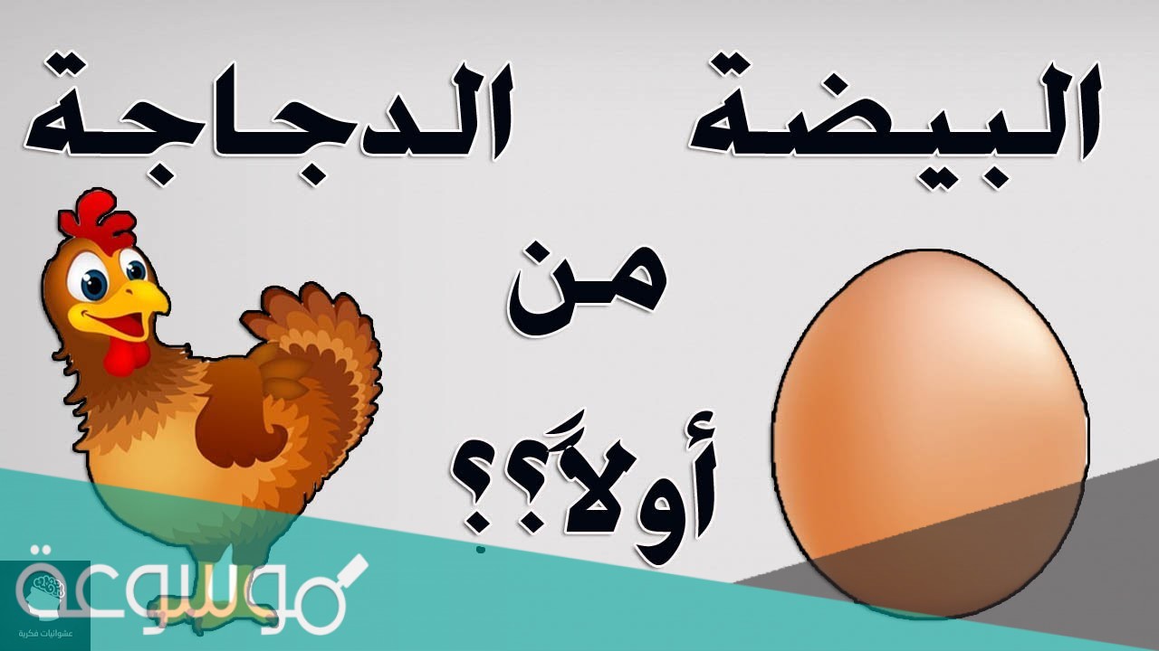 لغز من الذي جاء اولا الدجاجة أم البيضة