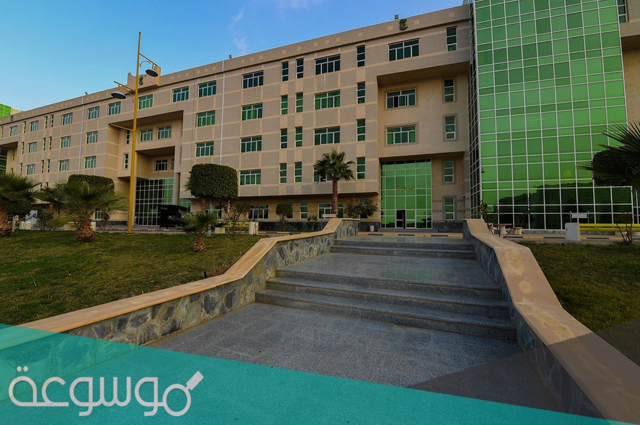 ما هي نسب القبول في جامعة الملك خالد 1443 المؤهلة والموزونة