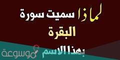 لماذا سميت سورة البقرة بهذا الاسم