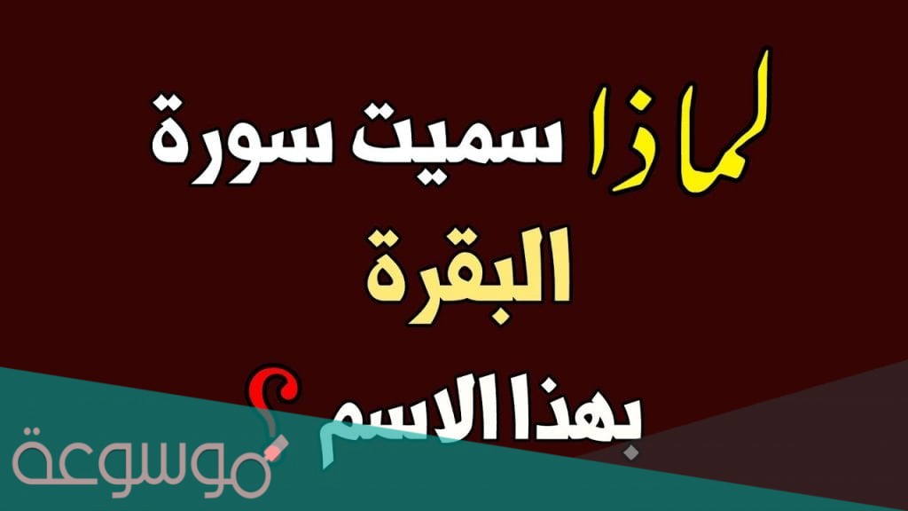 لماذا سميت سورة البقرة بهذا الاسم