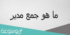 ما جمع كلمة مدير