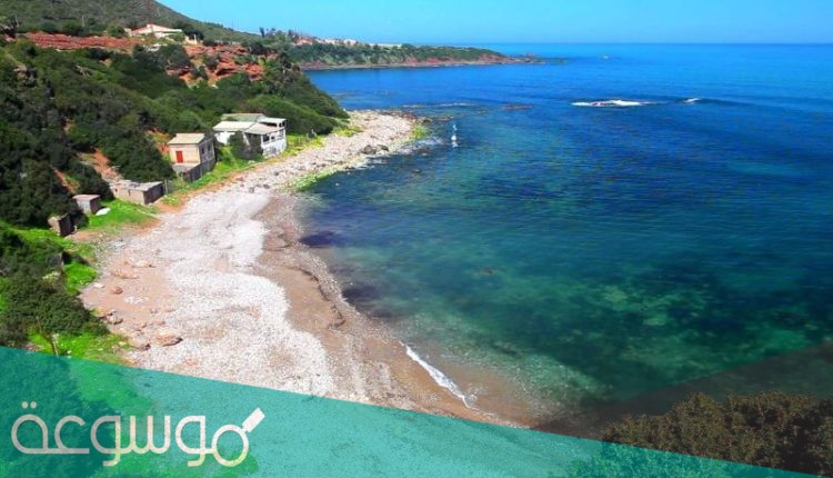 ما معنى كلمه تيبازه في اللغه الفينيقيه ؟