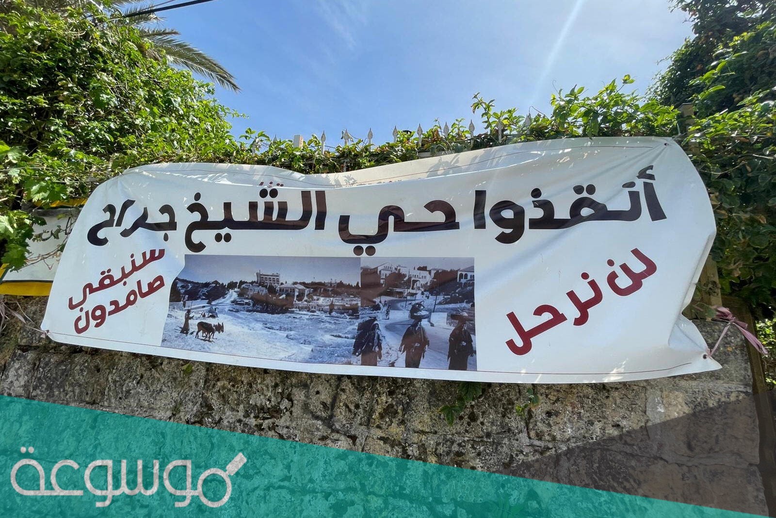 ما هي قصة الحي الفلسطيني الشيخ جراح الذي شغل العالم
