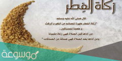 ماذا نقول عند اخراج زكاة الفطر