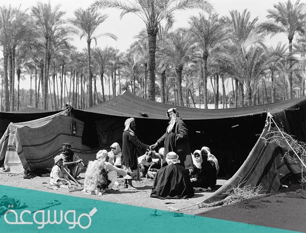 معنى الناموس عند البدو