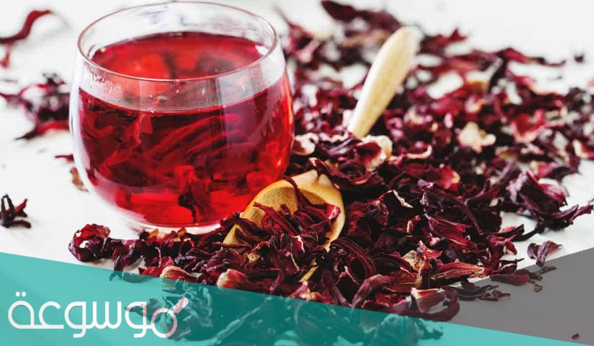 ما هي فوائد الكركديه الساخن للشعر والبشرة والجسم والوقاية من الأمراض