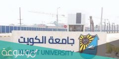رابط وخطوات التسجيل في كلية الصحة العامة الكويت 2022