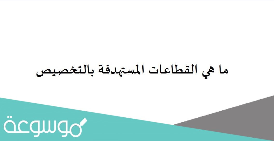 ما هي القطاعات المستهدفة بالتخصيص