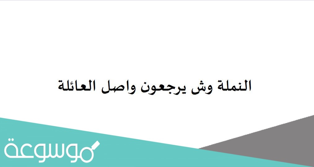 النملة وش يرجعون واصل العائلة