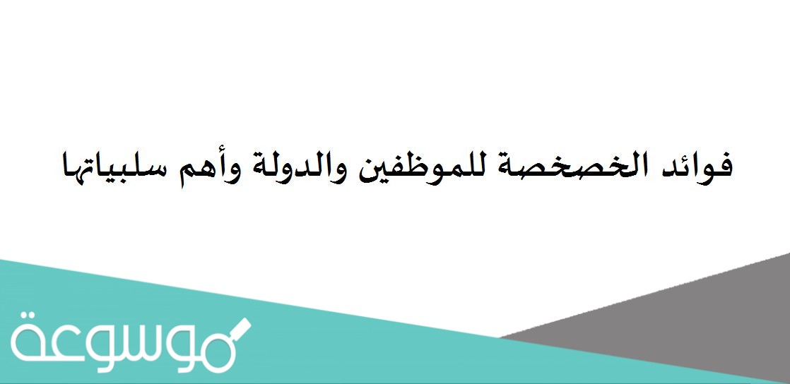 فوائد الخصخصة للموظفين والدولة وأهم سلبياتها