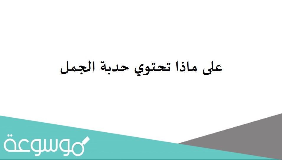 على ماذا تحتوي حدبة الجمل