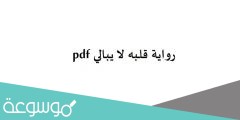 رواية قلبه لا يبالي pdf