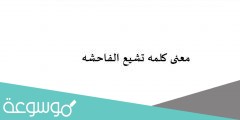 معنى كلمه تشيع الفاحشه