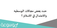 حدد بعض من مجالات الوسطيه والاعتدال في الاسلام ؟