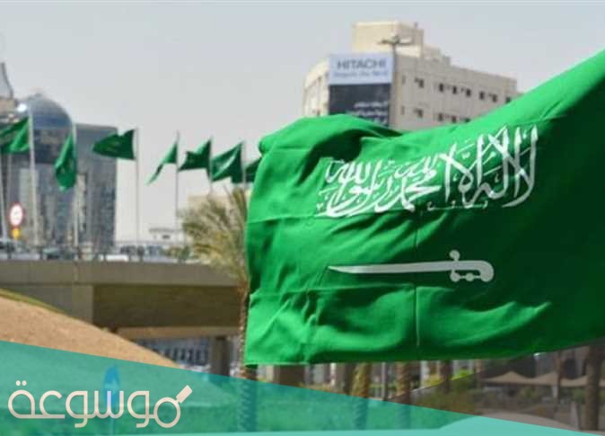 الحد من الضوضاء السعودية