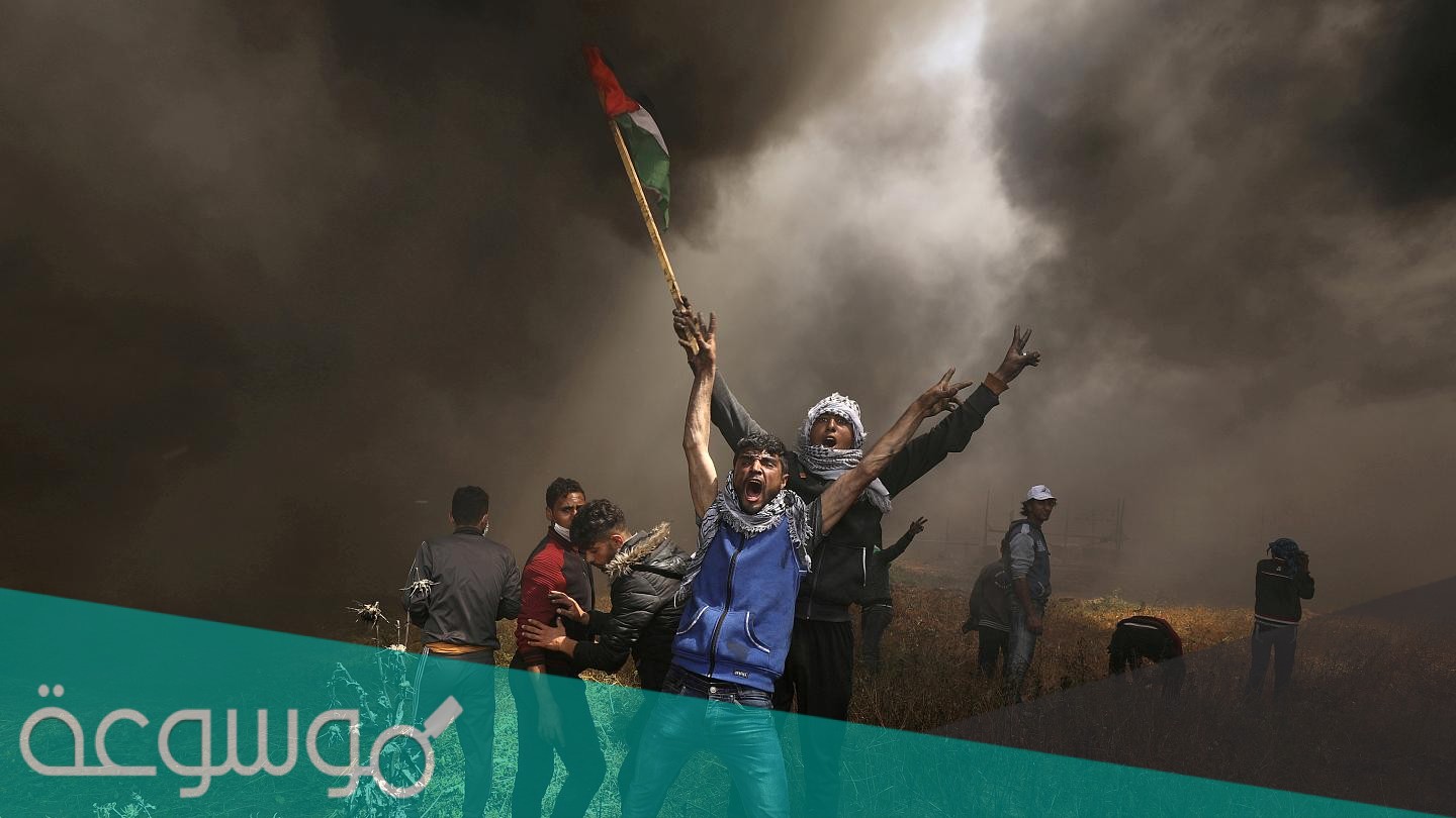 من هو عبد الرحيم ابو فنة السيرة الذاتية