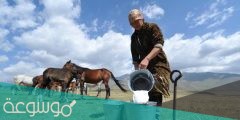 هل يجوز شرب حليب الخيل