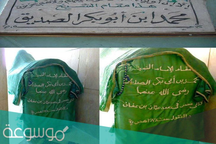 من هو محمد بن ابي بكر