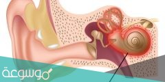 اعراض التهاب الاذن الوسطى عند الكبار