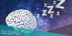هل يستمر الدماغ في العمل اثناء النوم