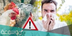 مرض انفلونزا الطيور إتش 10 إن 3 الذي ظهر بالصين