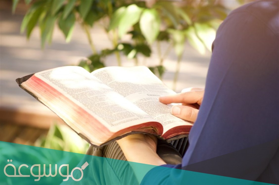 رواية كونسيلر كاملة pdf