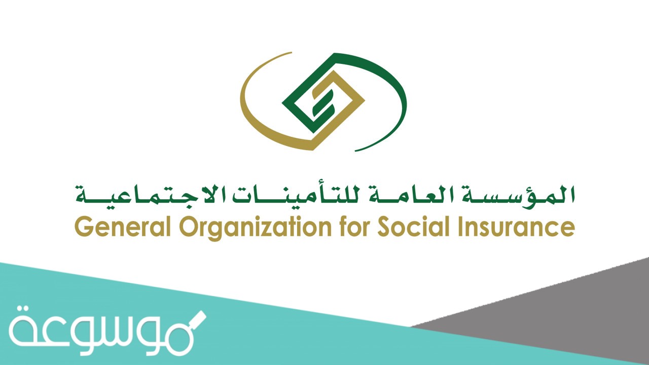 نسبة التامينات الاجتماعية