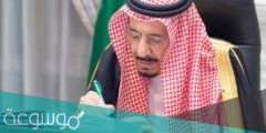 قرار تحويل موظفي الدولة إلى التأمينات في السعودية