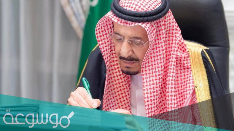 تحويل موظفي الدولة إلى التأمينات