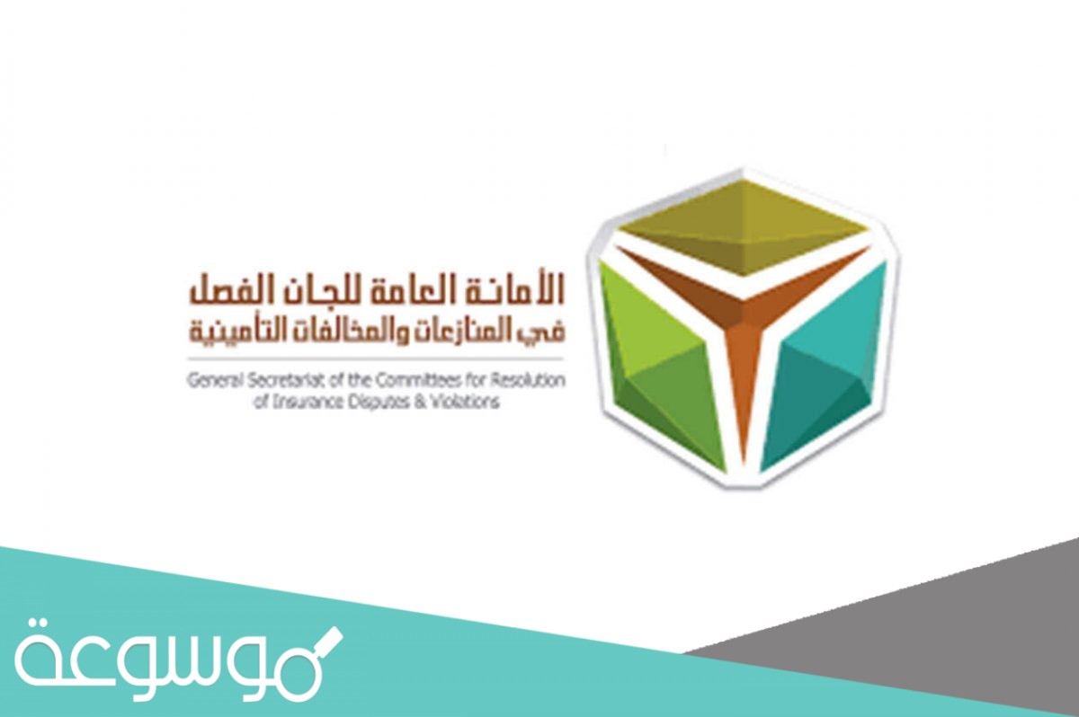 اختصاصات لجنة الفصل