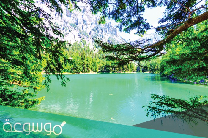 مياه الانهار عذبة