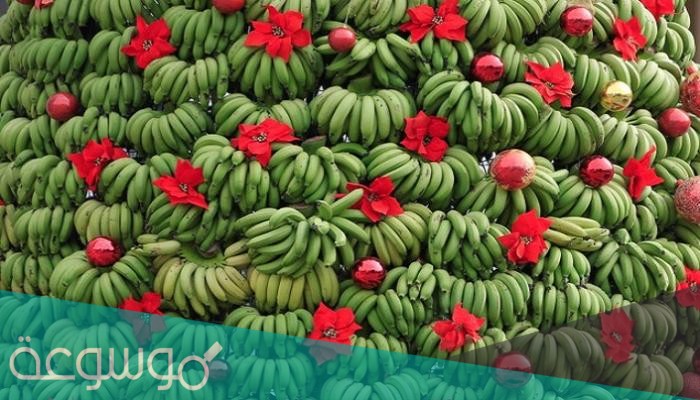 الموز ممنوع في كوريا الشماليه
