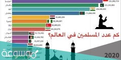 كم عدد المسلمين في العالم 2022