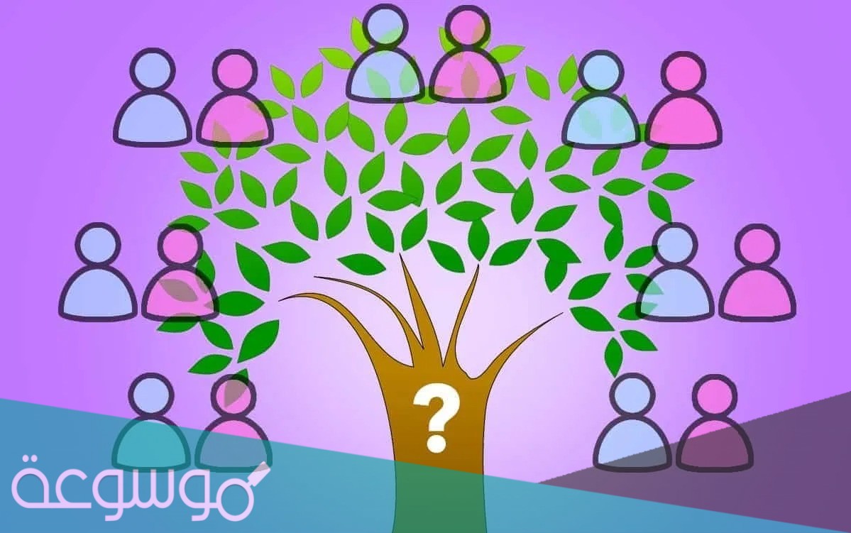 الشثري وش يرجعون