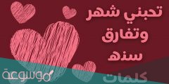 تحبني شهر وتفارق سنه كلمات