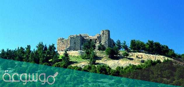 من بنى قلعة عجلون