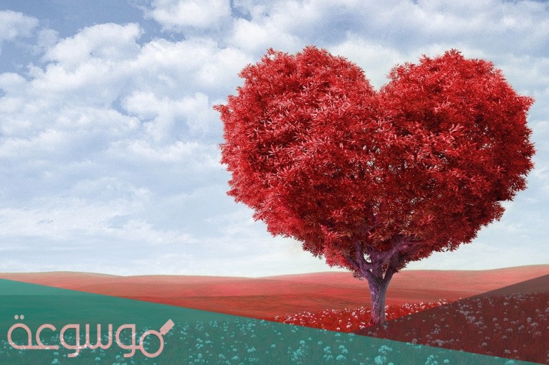 أجمل رسائل تجعل الفتاة تحبك بجنون