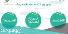 ما هي تخصصات مسار التميز للابتعاث