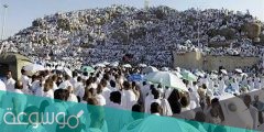 ارقام حملات الحج 1442