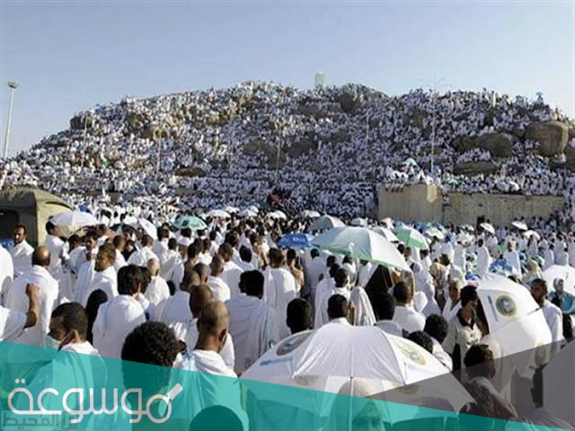 ارقام حملات الحج